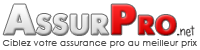 Assurance professionnelle