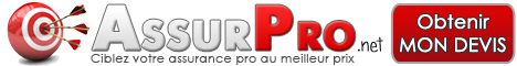 Assurance professionnelle